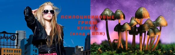 герыч Новокубанск