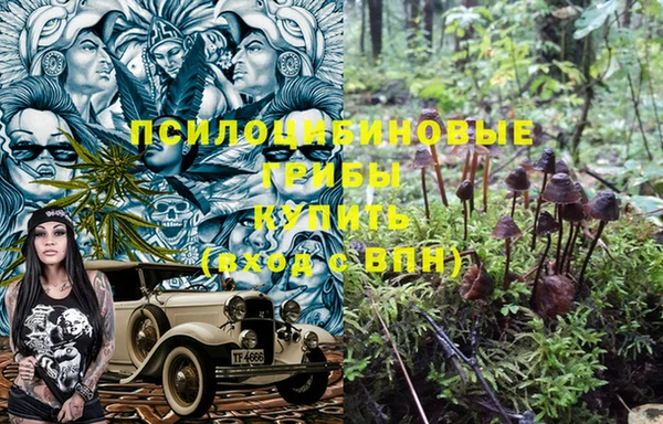 МДПВ Нязепетровск
