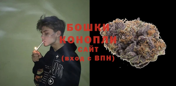 бошки Новодвинск