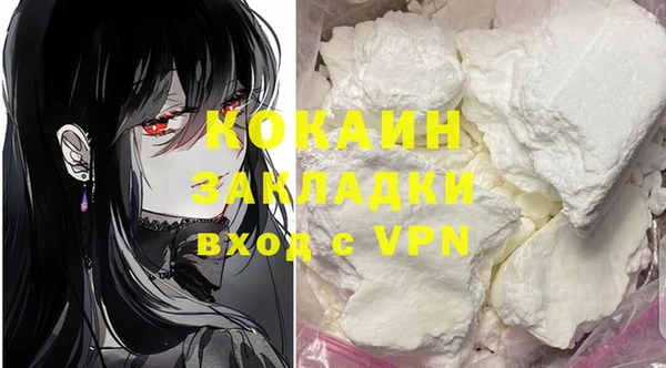 бошки Новодвинск
