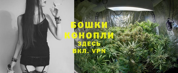 бошки Новодвинск