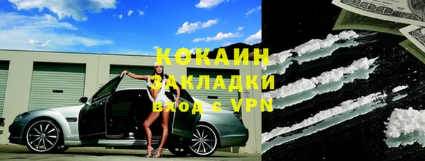 ГАЛЛЮЦИНОГЕННЫЕ ГРИБЫ Няндома