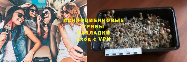ГАЛЛЮЦИНОГЕННЫЕ ГРИБЫ Няндома